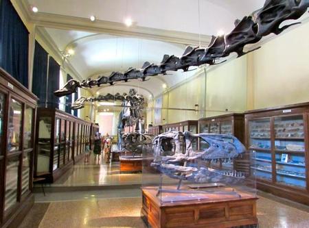 Museo Geologia Bolonia