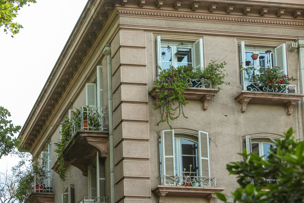 Se plantan ahora y crecen muy rápida: estas son las flores tropicales que llenan de color la terraza o el jardín en verano