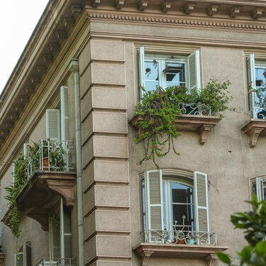 Se plantan ahora y crecen muy rápida: estas son las flores tropicales que llenan de color la terraza o el jardín en verano