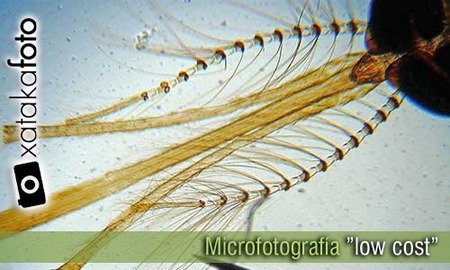 Microfotografía de bajo coste