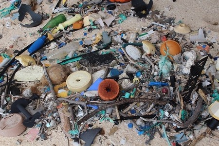 La mayor densidad de desechos plásticos del mundo está en una isla