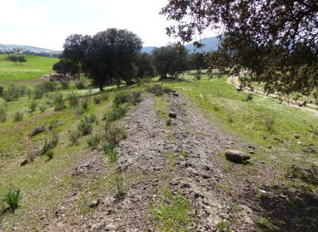 Carretera Romana 3