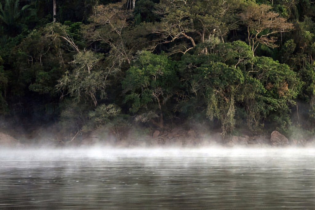 En el Amazonas peruano, las últimas tribus nunca contactadas van a recibir una visita: la de compañías petroleras