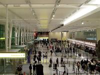 ¿Vale la pena competir por un asiento de nuestro próximo vuelo? (y cómo las hormigas resolvieron el problema) 
