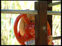 ¿Cómo actuar en los parques?