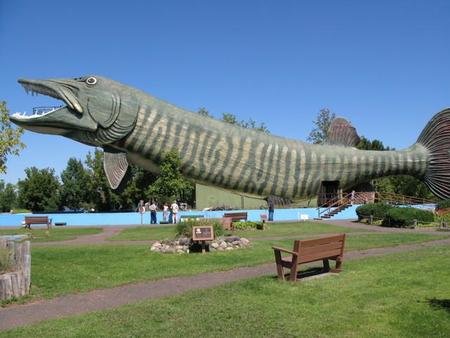 muskie.jpg