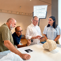 En Alicante encontraron una cabeza de mármol de Venus de 2.000 años. Acabó dentro de una bolsa de Mercadona y una enorme polémica