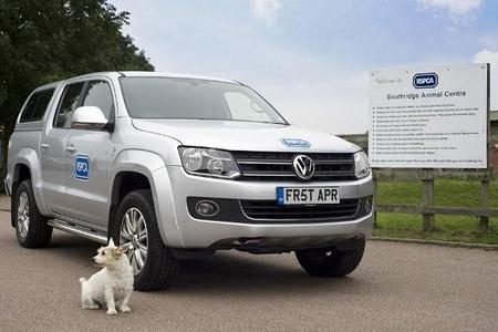 Volkswagen Dog Driving Training Program