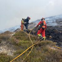 España siempre ha tenido muy claro cómo son sus bosques autóctonos. Los incendios y el clima lo están cambiando