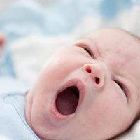 Por qué hay bebés amamantados con ampollas en los labios