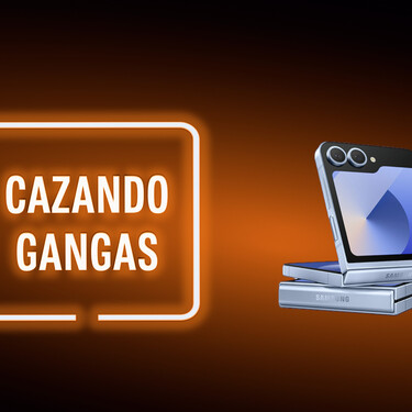 Cazando Gangas