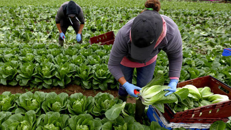 La pandemia de COVID-19 empeoraría la desigualdad por impacto desproporcionado en los trabajadores poco calificados