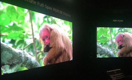 El último prototipo de Sony luce unos espectaculares 10.000 nits con panel 8K de 85 pulgadas