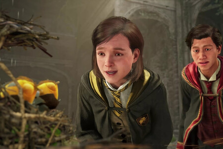 Poppy Hogwarts Legacy