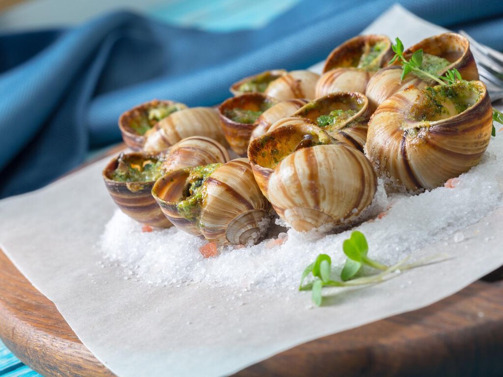 las-mejores-recetas-de-caracoles-propiedades-y-consejos-de-cocina-para