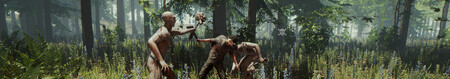 Imagen de The Forest (Endnight Games)
