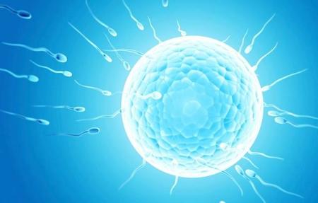 Aviso a futuros papás, un estudio asocia dieta con niveles bajos de esperma