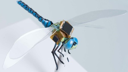 El primer dron biológico: DragonFly