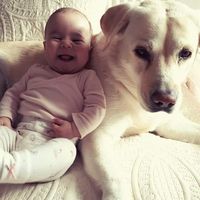 #Carlotaquierebailar, la historia de la bebé de 15 meses que necesita un corazón para vivir