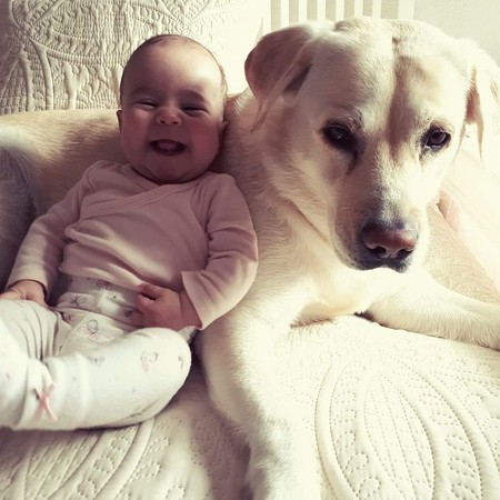 #Carlotaquierebailar, la historia de la bebé de 15 meses que necesita un corazón para vivir