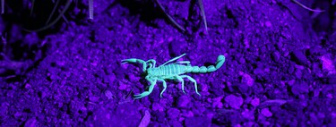 Hay un método sigiloso para sabotear la IA. Se llama 'data poisoning' y corrompe los modelos desde dentro