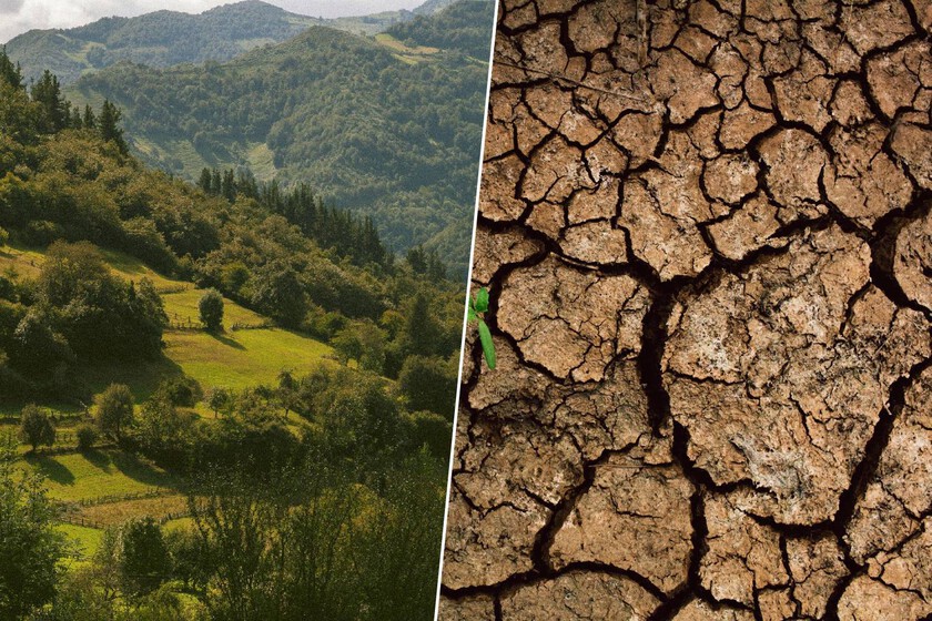 El pasado mes de octubre ha sido el segundo más seco en los últimos 100 años. Y la peor parte se la ha llevado Asturias