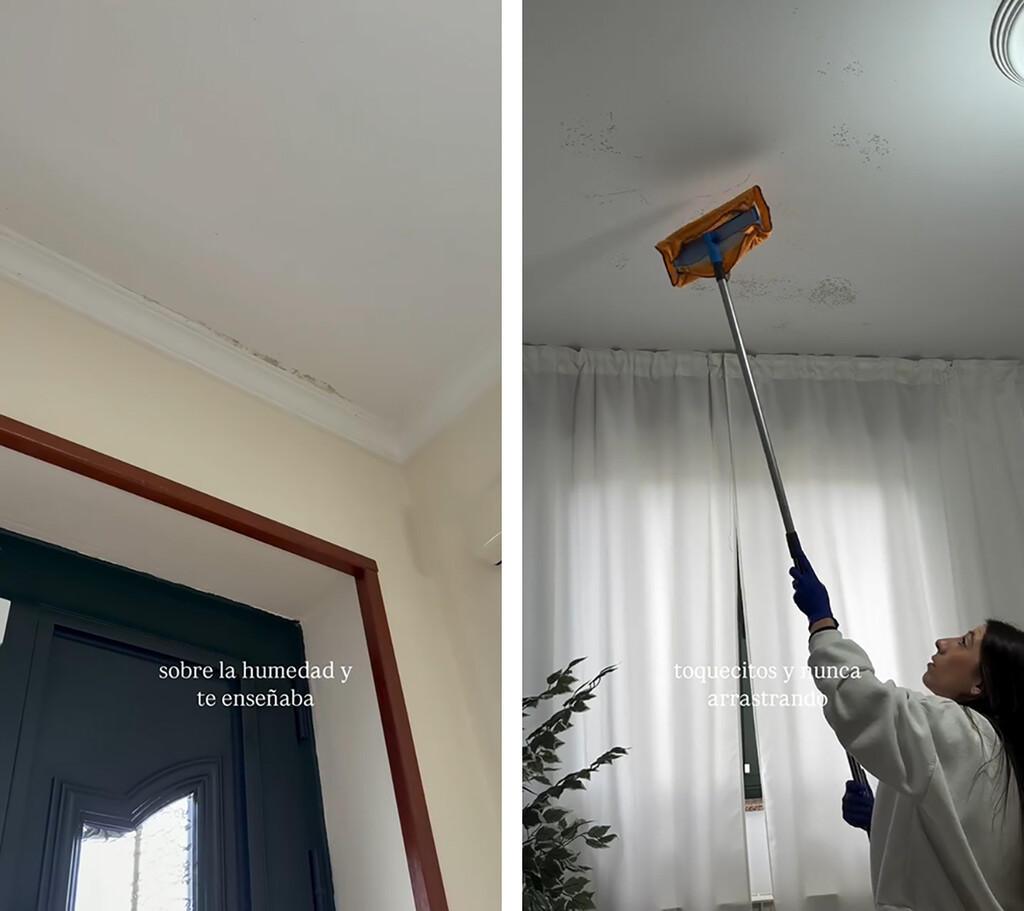 Esta experta aclara en que fallamos al quitar las humedades de paredes: “la clave está en limpiar dando toquecitos” 