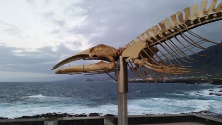 Costa Sibora Tenerife