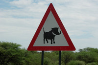 Viaje a Namibia (I) Tres curiosas señales de tráfico 