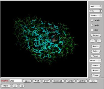Nuevo software que determina la función proteínica, al alcance de todos los internautas
