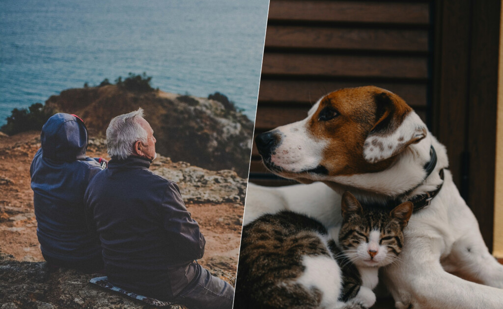 La soledad se es ya una cuestión de salud pública. Cada vez tenemos más pruebas de que los animales nos ayudan a aplacarla 