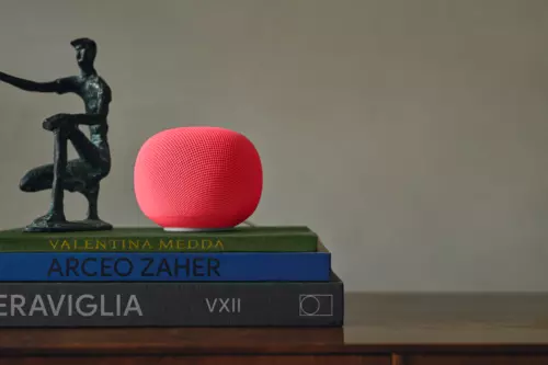 Google Home Speaker Berry Retraso