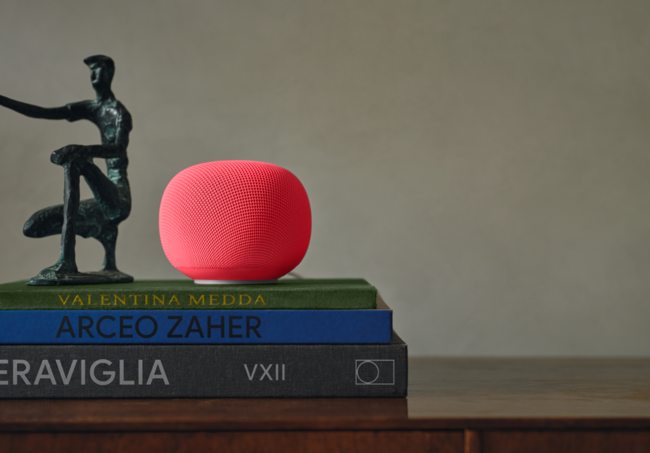 Google Home Speaker Berry Retraso