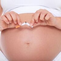 El tabaco afecta a la placenta de las embarazadas, incluso después de dejar de fumar