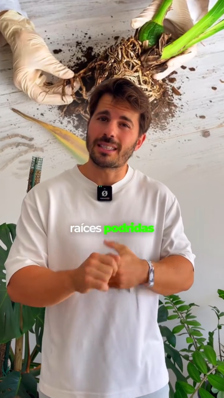 Videoframe 29192