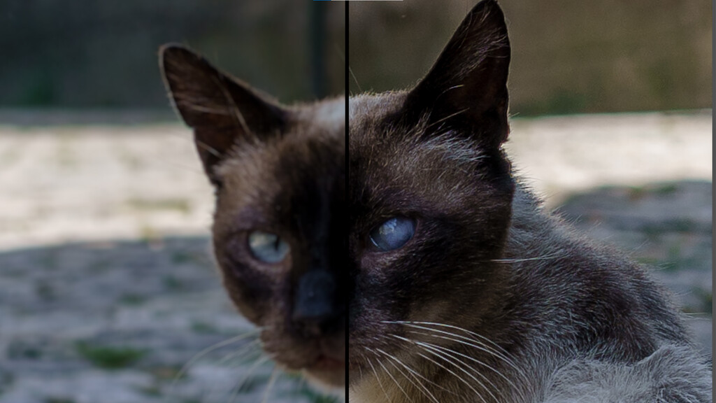 Photoshop no hace milagros, pero puede ayudarte a mejorar una foto borrosa: guía paso a paso