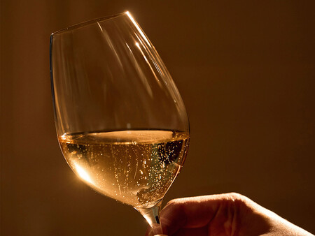 Copa De Champagne C Bollinger