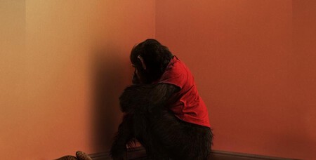 de chimpancés cabreados a una de las grandes cintas de artes marciales de los últimos tiempos