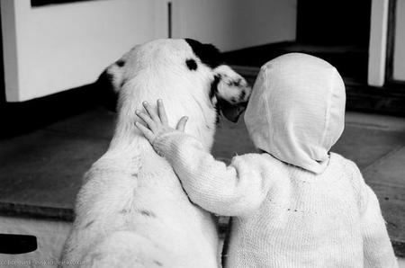 Perros, los mejores amigos de los niños hospitalizados