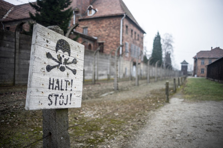 Auschwitz y la insoportable levedad de las redes sociales