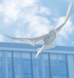 Un nuevo robot pájaro