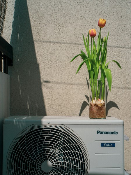 Hanae Dan A6vdv5vlrdm Unsplash