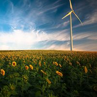 Los 4 puntos más polémicos de la Agenda 2030 sobre la energía renovable