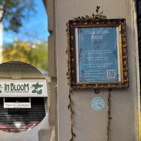 Los consejos para preparar un menú de Navidad vegano, según la fundadora de la escuela de cocina vegetal que triunfa en Barcelona