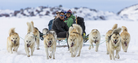 Inuit Perros
