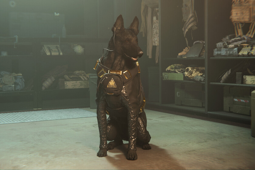 Cod Perro