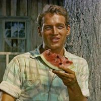 Esta noche en TV, Paul Newman en una calurosa adaptación de un maestro literario con la que fue considerado el mejor actor