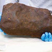 Em 2015, um homem encontrou uma rocha e a guardou achando que podia conter ouro; agora, descobriu seu verdadeiro valor 