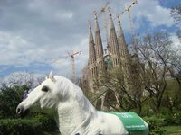 Feelipo, el caballo que te brinda la oportunidad de viajar a Eslovenia