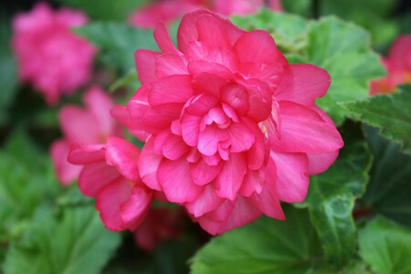 Pexels Alex Ohan 204757441 30244221